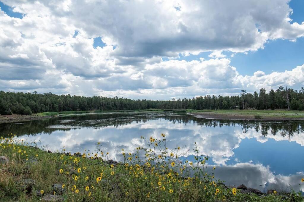 Pine Cone Cabin Villa Pinetop-Lakeside Bagian luar foto